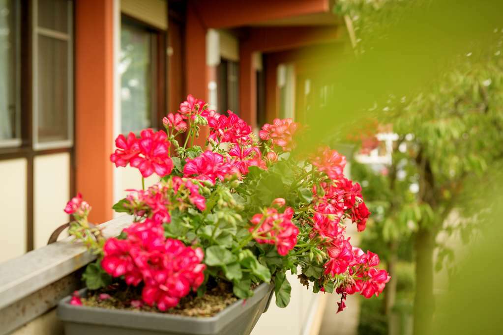 Greet Brussels Airport Zaventem Hotel Exterior foto